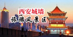 欧美日韩美女被操哭了中国陕西-西安城墙旅游风景区